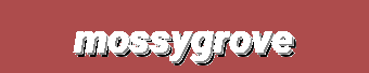 Trending Apparel Hub